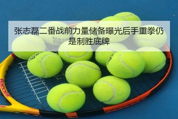 张志磊二番战前力量储备曝光后手重拳仍是制胜底牌