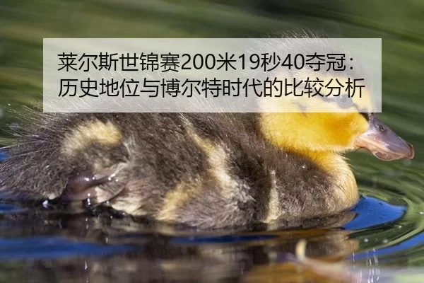 lai-er-si-shi-jin-sai-mi-miao-duo-guan-li-shi-di-wei-yu-bo-er-te-shi-dai-de-bi-jiao-fen-xi-2-928.jpg